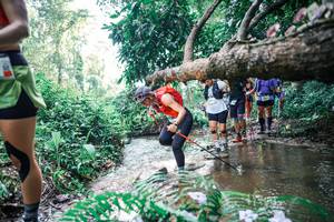 BIB: 
                            <button type="button" onclick="openModal(25457948)" class="btn btn-primary btn-sm float-right btn-popup" data-toggle="modal" data-target=".modal-high-quality">
                        <i class="fas fa-shopping-cart"></i> Add to Cart
                    </button>
                                            <button type="button" onclick="isThisMe(25457948, true)" class="btn btn-success btn-sm float-right btn-popup btn-isme hidden" data-toggle="tooltip" data-placement="bottom" title="นี่คือรูปของคุณใช่ไหม คลิกที่นี่เพื่อเอาเข้าอัลบั้ม">
                        <i class="fas fa-plus"></i> Add to album
                    </button>
                    <button type="button" onclick="isThisMe(25457948, false)" class="btn btn-warning btn-sm float-right btn-popup btn-isnotme hidden">
                        <i class="fas fa-ban"></i> Remove from album
                    </button>